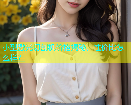 小型激光切割机价格揭秘,性价比怎么样? 小型激光切割机价格揭秘,性价比怎么样?(图1)